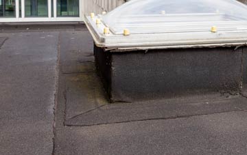 disadvantages of Mark Causeway flat roofs