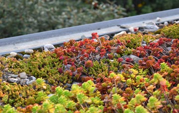 the cost of Mark Causeway green roof installation