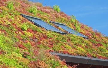 Mark Causeway living roof systems